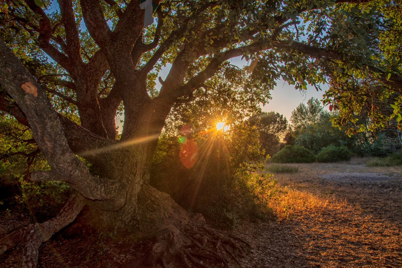 La meraviglia come modalit di vivere: Ostia attraverso il mio sguardo